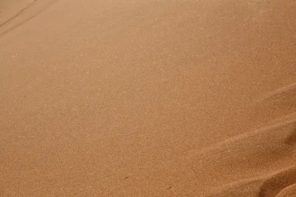 Kasino Bingo Millionaire Podpora